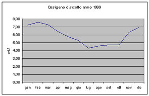 Grafici parametri Laguna 1999