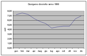 Grafici parametri Laguna 1999