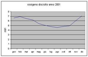 Grafici parametri Laguna 2001