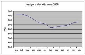 Grafici parametri Laguna 2000
