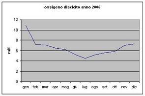 Grafici parametri Laguna 2006