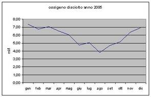 Grafici parametri Laguna 2005
